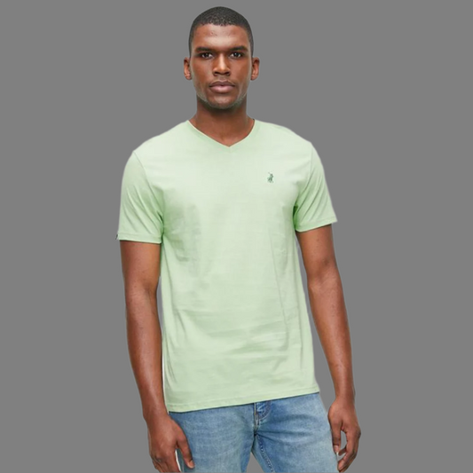 Essential Plain SS Tee (Light Green)